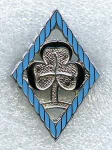 appointment-warrant-badge-district-commissioner-leader-manager