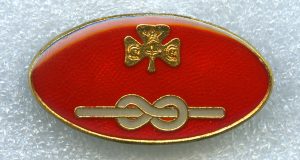 long-service-award-combined-20-years-silver-knot
