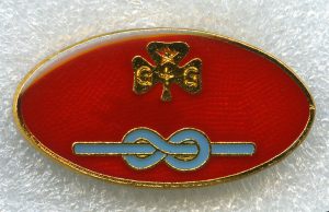 long-service-award-combined-5-years-pale-blue-knot