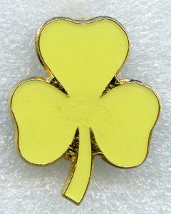 guide-eight-point-badge-1-yellow