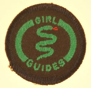 guide-interest-badge-health-green-border