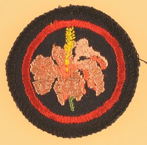 guide-patrol-badge-hibiscus