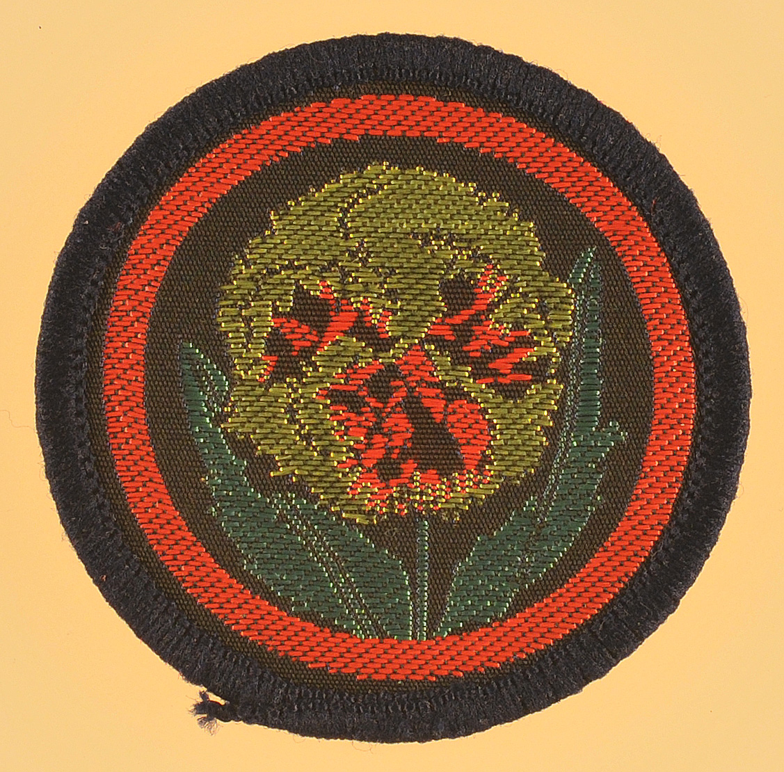 Master Guide Uniform Emblems Guide Uniform Badges - Patrol Emblems P - Guiding Stories